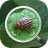 icon Insect Identifier(Identifikasi serangga: Pengidentifikasi bug - Pencari bug
) 1.0
