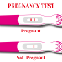 icon Pregnancy Test App Guide(Tes Kehamilan Panduan Aplikasi)