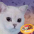 icon DRCA Degradation Running Cat Amorality(DRCA - Degradasi Menjalankan Cat) 7.2.1
