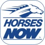 icon Horses Now (Kuda Sekarang)