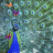 icon Peacock Live Wallpapers(Peacock Live Wallpaper) 220.GG