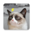 icon Grumpy Weather(Cat Pemarah Cuaca) 6.0.2