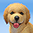 icon My Dog(My Dog:Puppy Simulator Games) 2.2.6