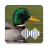 icon Duck Calls(Panggilan berburu bebek
) 2.0
