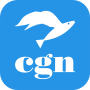 icon Fatturazione CGN (Faktur CGN)