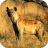 icon Hyena Sounds 3.0.1