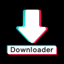 icon TTDownloader()