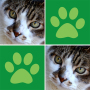 icon Cats Memory Match Game