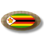 icon ZimbabweApps and news(Aplikasi Zimbabwe)