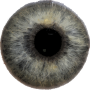 icon Eye Diagnosis(Diagnosis Mata)