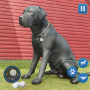 icon Dog Sim Pet Simulator Dog Life(Dog Sim Pet Simulator Kehidupan Anjing)