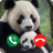 icon Panda Call Video(Panda Fake Call - Little Panda Prank Dial
) 6.1.5