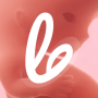 icon Pregnancy Tracker - Lifeing ()