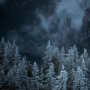 icon Forest Wallpapers(Wallpaper Hutan)
