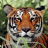 icon Tiger Wallpaper(Wallpaper Tiger) 2.1.0