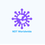 icon NDT Worldwide (NDT Worldwide
)