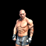 icon Fight Arena Online (Arena Pertarungan
)