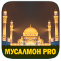 icon dilsoft.g.musalmon_pro_2021(Muslim Pro - Doa, Quran.)