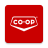 icon 2.6.10