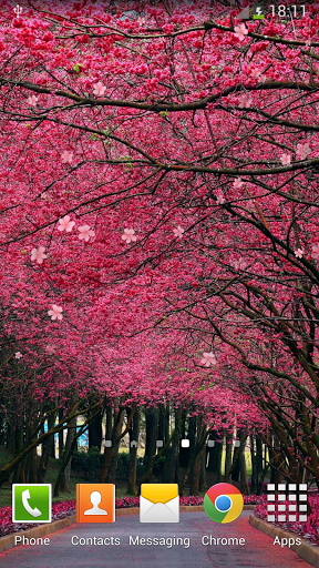 Terkeren 11+ Wallpaper Bunga Sakura Berjatuhan - Koleksi ...
