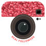 icon Real Followers for instagram(Dapatkan Pengikut Asli untuk instagram
)
