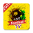 icon Live Football TV(Live Football TV HD
) 1.0.0