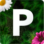 icon Pollen allergy warning Sweden (Serbuk sari peringatan alergi Swedia)