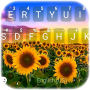 icon Sunflower Field(Bunga Matahari Jarak Jauh Latar Belakang Keyboard Bidang
)