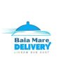 icon Baia Mare Delivery (Pengiriman Baia Mare)