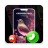 icon Phone Caller Themes(Tema layar panggilan telepon berwarna) 1.66