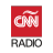 icon AM 950(Radio CNN Argentina
) 1.1.1