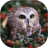 icon Owls live wallpaper(Owls Live Wallpaper) 5.5