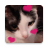 icon Stickers Cats(WAStickerApps Stiker Kucing) 6.0