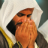 icon Alafasy Ringtones(Game Jejak Terakhir Berdiri) 1.3