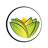 icon The Ayurveda Experience DE(Pengalaman Ayurveda DE) 2.1