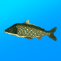 icon True Fishing. Simulator ()