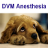 icon DVM Anesthesiology(Anestesiologi DVM) 2.31