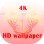 icon HD 4K Wallpaper(HD 4K Wallpaper
)