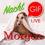 icon German Morning & Night Gifs (German Morning Night Gifs
)