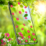 icon Nature Live Wallpaper (Nature Live Wallpaper
)