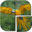 icon Bird Puzzle Games Free(Bird Puzzle Games temperatur) 1.8