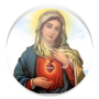 icon HYMN OF PRAISE Wudase Maryam Tigrigna(HYMN OF PRAISE - Wudase Maryam)
