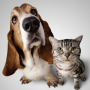 icon Dog & Cat Translator-Prank App