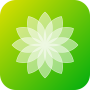 icon Prime Walls()