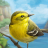 icon Birds of a Feather Solo Game(Permainan Kartu Birds of a Feather) 2.0
