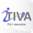 icon iTIVA(iTIVA plus Anestesi) 6.3