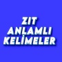 icon com.hepsibir.esanlamlilar(Antonim Game)