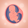 icon com.pregnancytracker.tm(алендарь
)