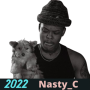 icon Nasty C All Songs MP3(Nasty C Semua Lagu
)