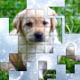 icon PicPu Dog Puzzle(PicPu - Dog Picture Puzzle)